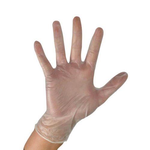 Large Gloves Vinal Powder Free Hray GVL
